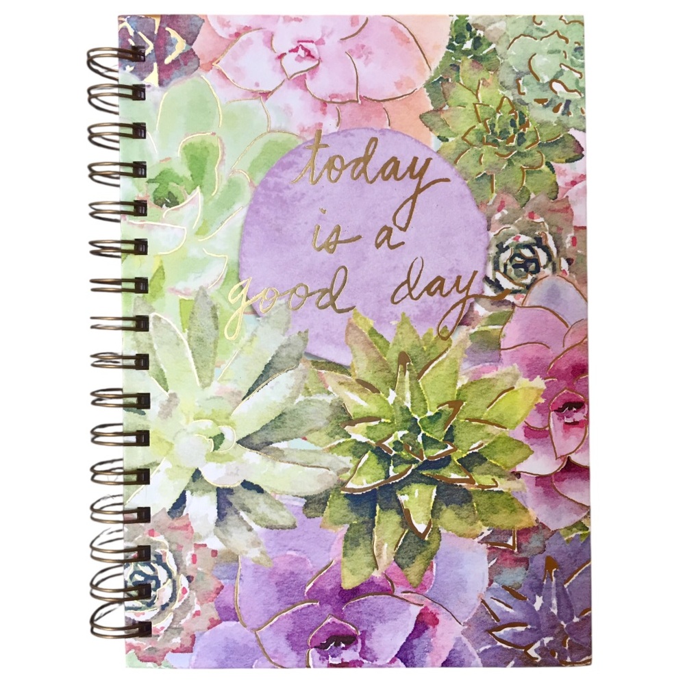 Punch Studio Good Day Succulents Spiral Hardbound Notebook (61622)